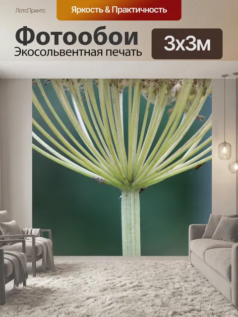 Фотообои Макросъемка