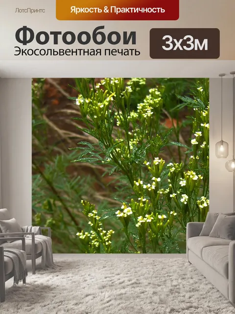 Фотообои хаки куст с желтыми цветами