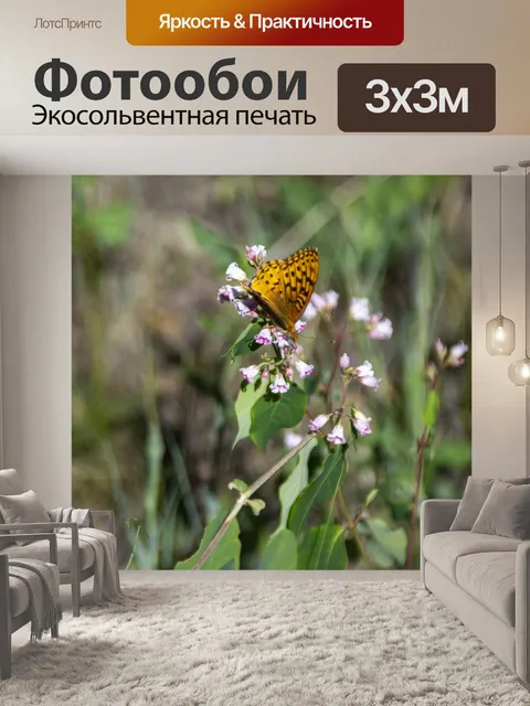 Фотообои Золотая бабочка