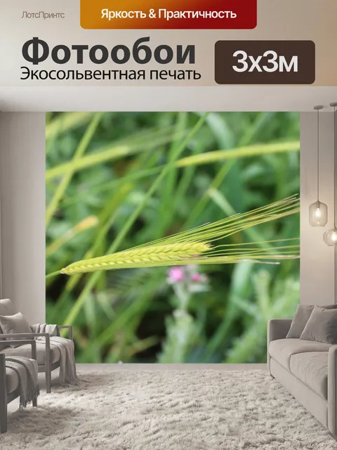 Фотообои Розовый
