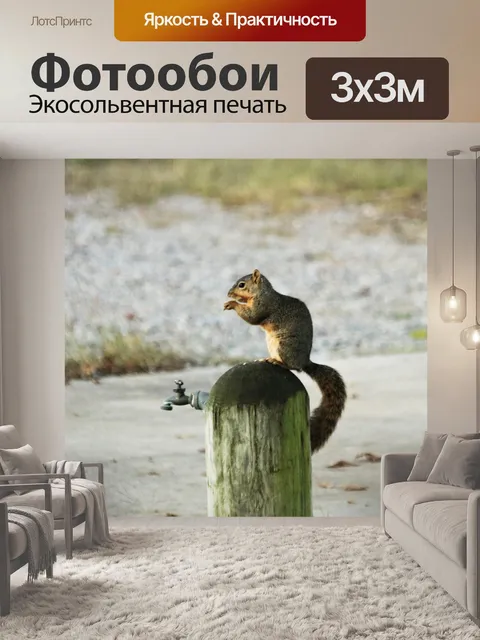 Фотообои Фокс-белка на водяной палочке