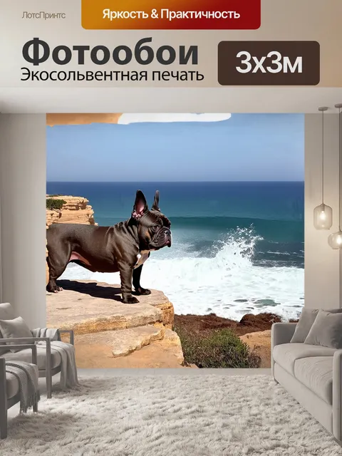 Фотообои французский бульдог, поверхностно осматривающий природу, стоит на краю живописного утеса