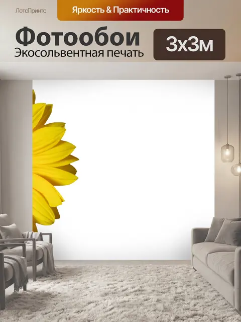 Фотообои Подсолнечное Изолированные