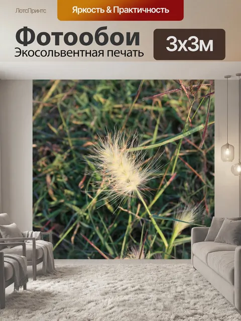 Фотообои пушистого белого семян трав