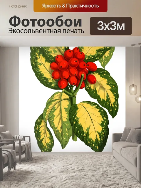 Фотообои Ягоды, листья Винтаж клипарт