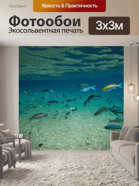 Фотообои озеро, в котором видно дно и плавающие рыбы