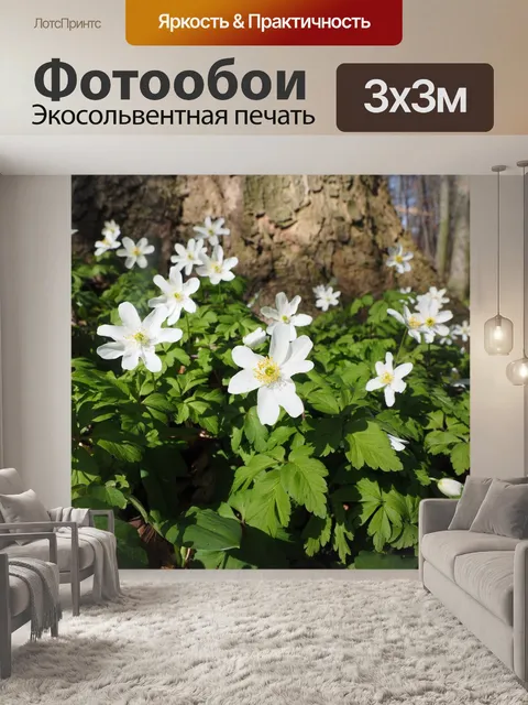 Фотообои Древесные анемоны