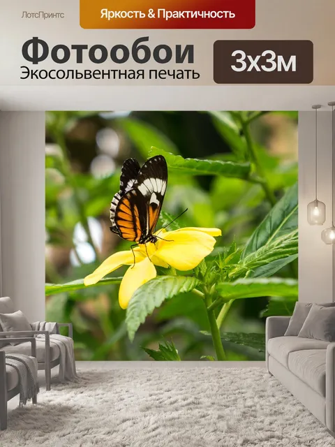 Фотообои Сад бабочек бенальмадена