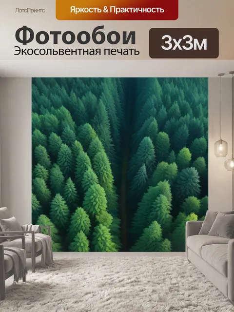 Фотообои густой лес с высокими деревьями