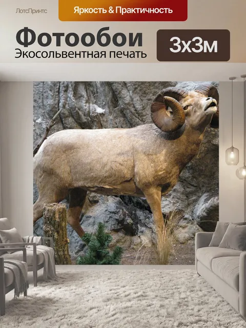 Фотообои Снежный баран