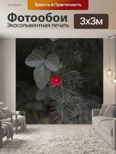 Фотообои Красный цветок