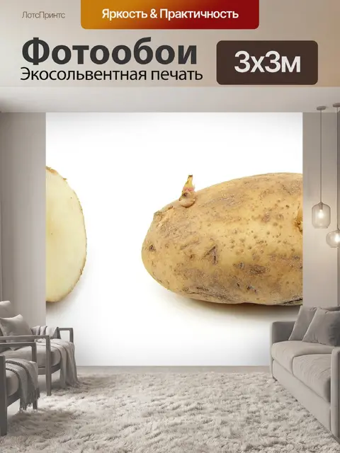 Фотообои Картошка