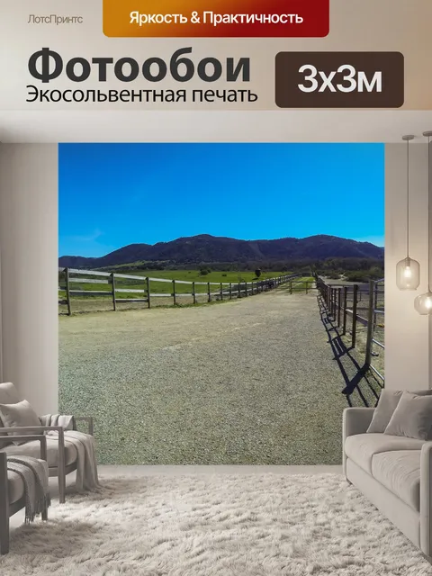 Фотообои Грязь путь