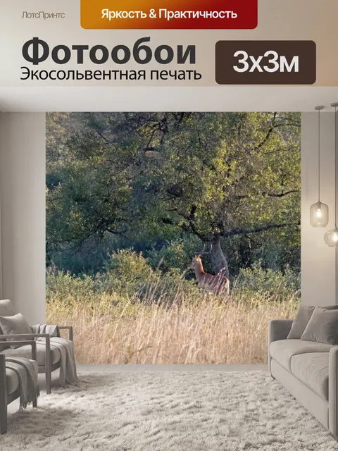 Фотообои Импала бык, стоящий под деревом