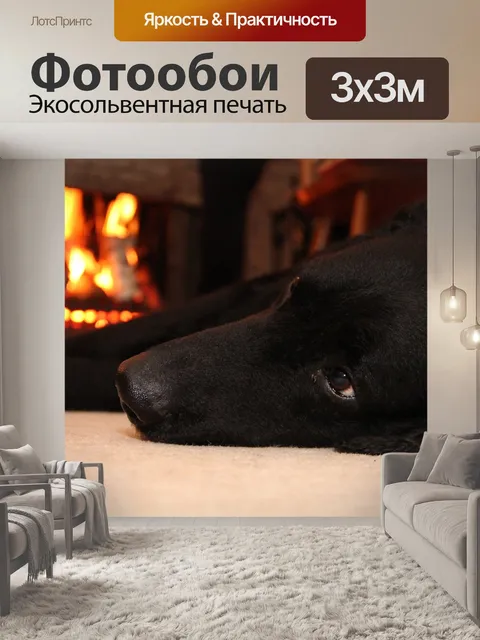 Фотообои Собака