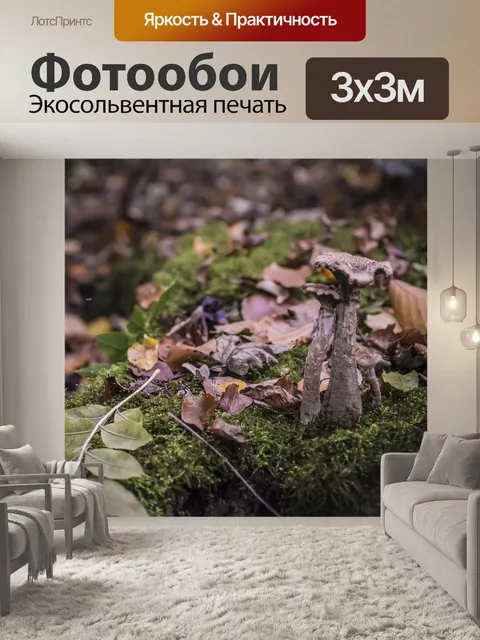 Фотообои Грибы