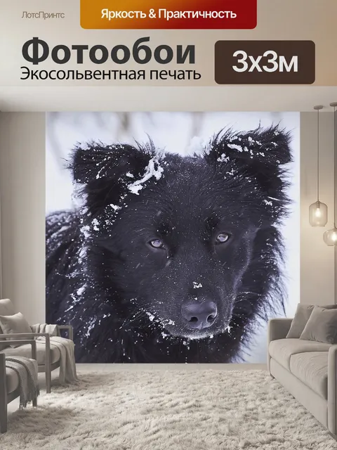 Фотообои Dog