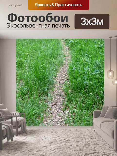 Фотообои Дорожка