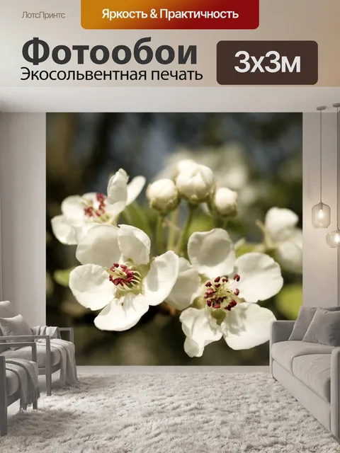 Фотообои Весна