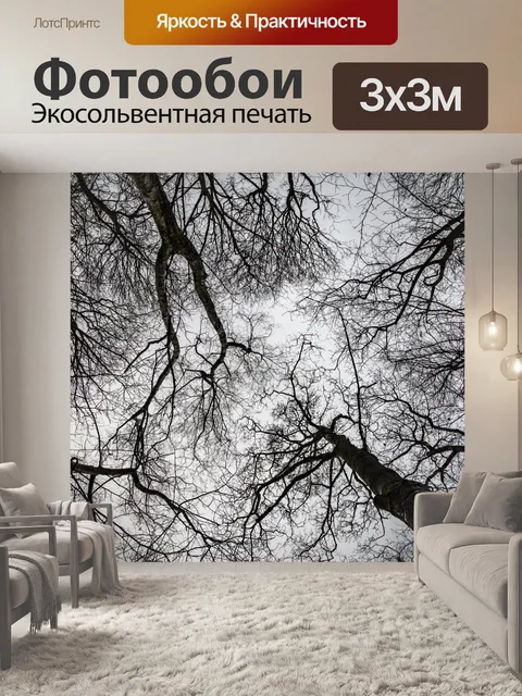 Фотообои Деревья без листьев
