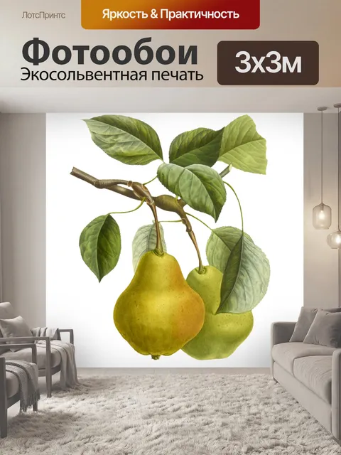 Фотообои Плоды груши винтажные