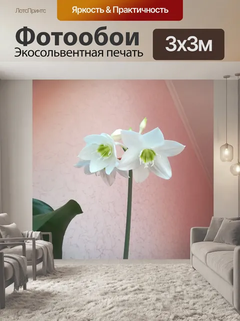 Фотообои Цветы