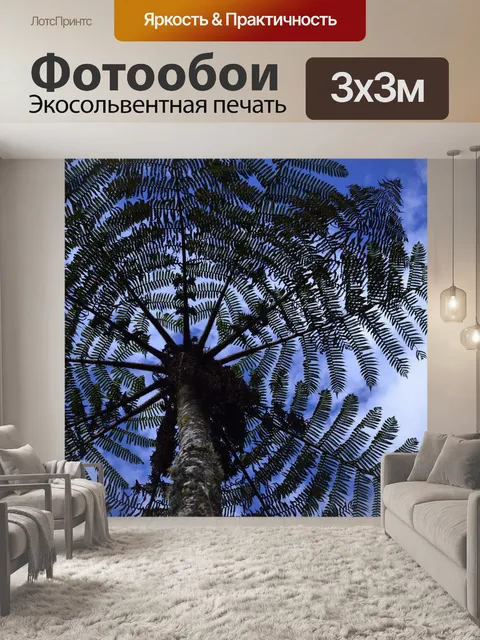 Фотообои Циатея