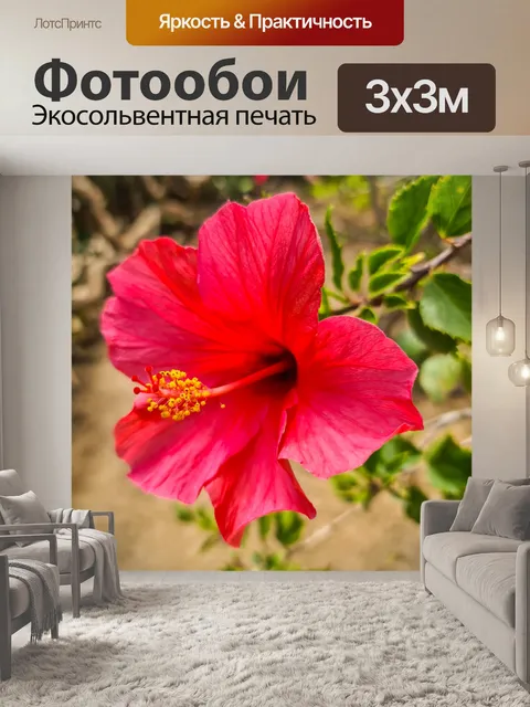 Фотообои Красный цветок гибискуса