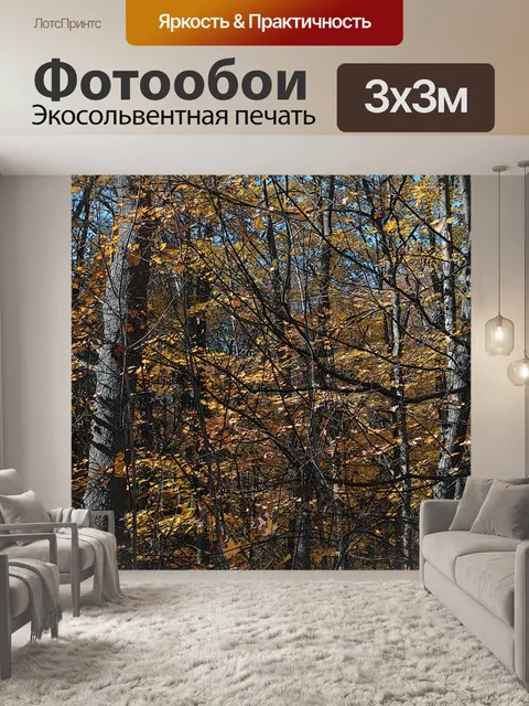 Фотообои Золотая осень Деревья