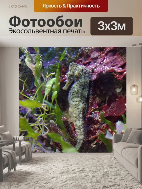 Фотообои Морской конек