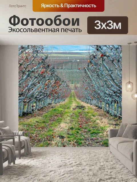 Фотообои Фруктовый сад