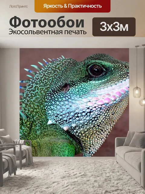 Фотообои Дракон