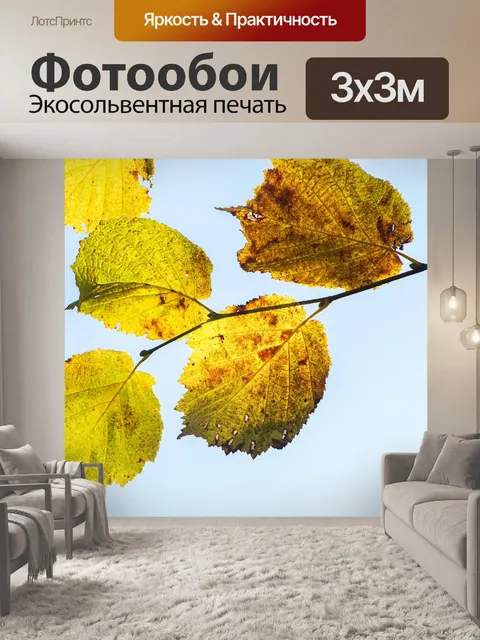 Фотообои Листья светло-карие