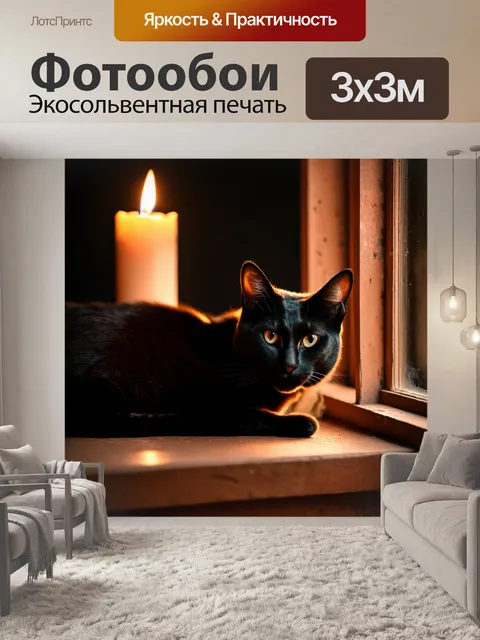 Фотообои темный фон, черный кот, свернувшийся клубком на старинном окошке, мягкий свет свечи