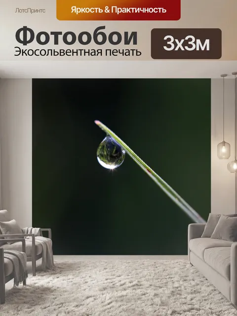 Фотообои Капли