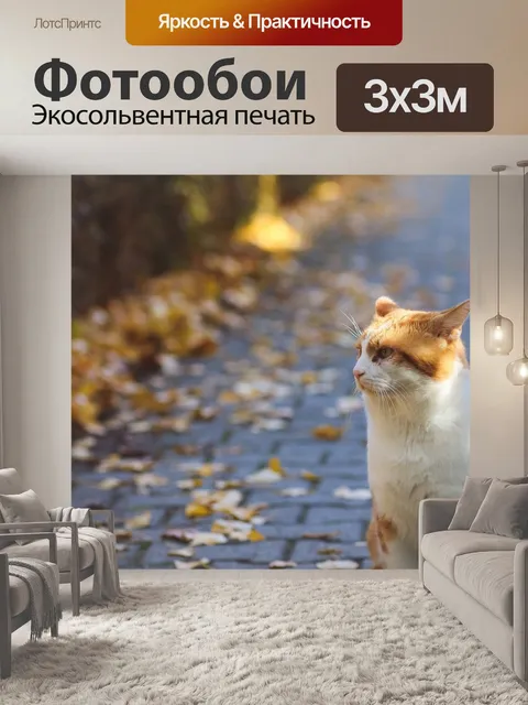 Фотообои Кошка