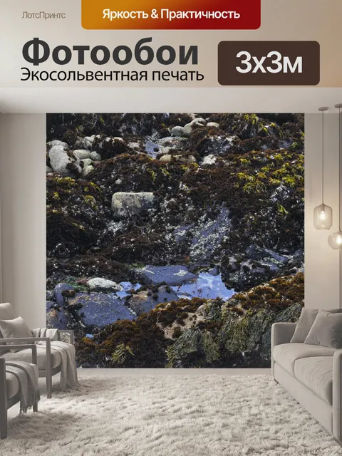 Фотообои Tidepool