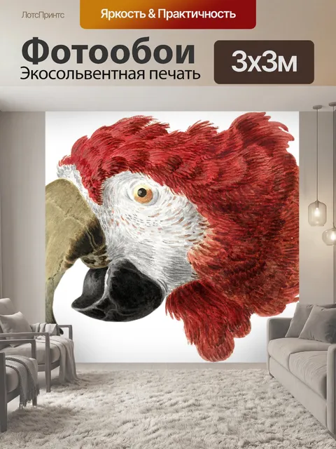 Фотообои Ара рисунок