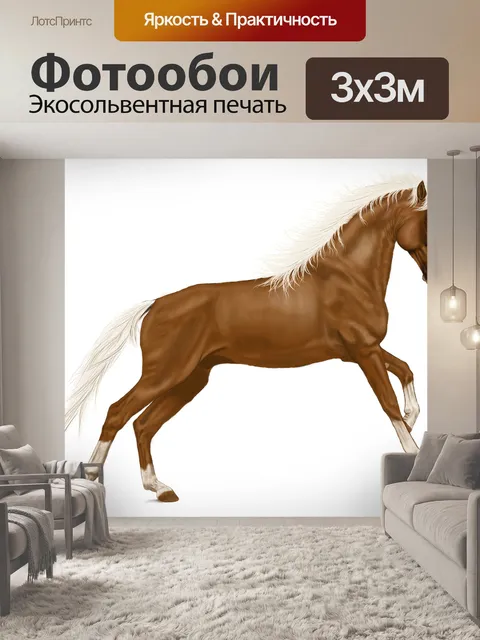 Фотообои Лошадь