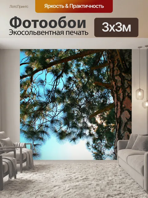 Фотообои ствол и ветви из сосны