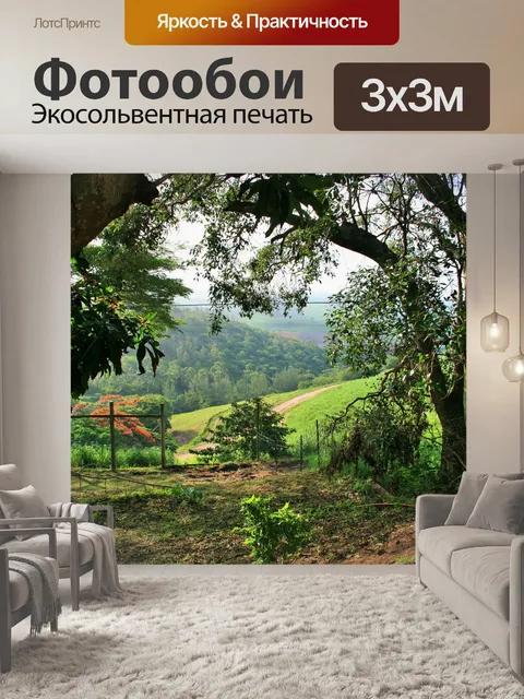 Фотообои деревья на сахарный тростник поместья