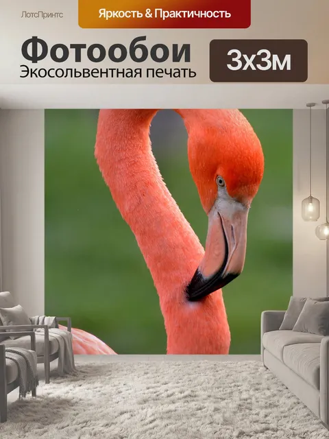 Фотообои Фламинго