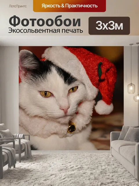 Фотообои Кот