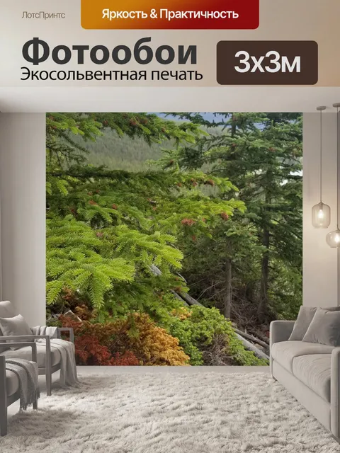 Фотообои Деревья в горном лесу