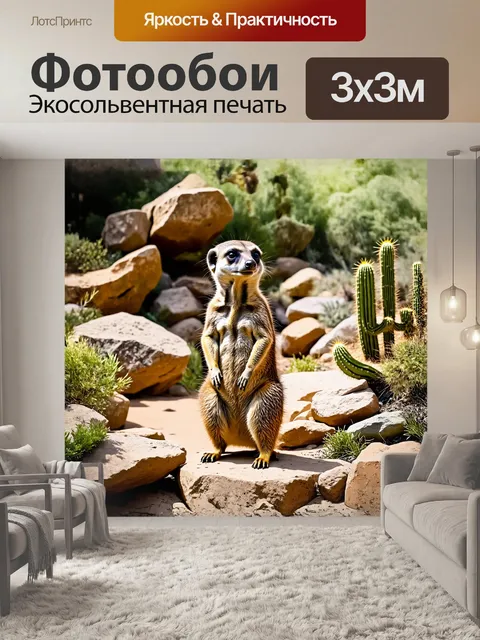 Фотообои сурикат стоит на задних лапах