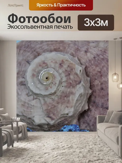 Фотообои Морские улитки