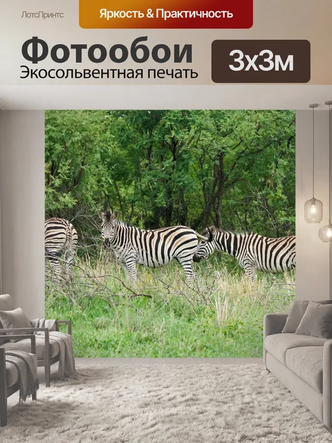 Фотообои три зебры в южной африке