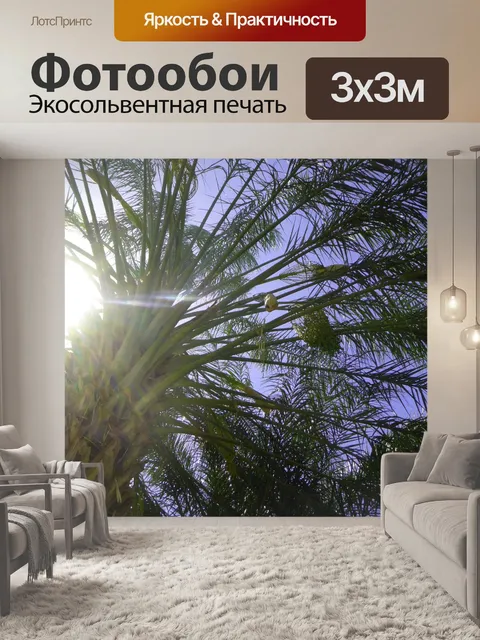 Фотообои Солнце и пальма
