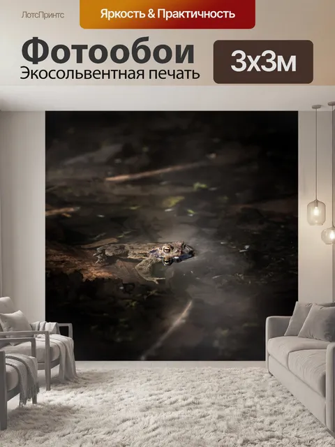 Фотообои Природа