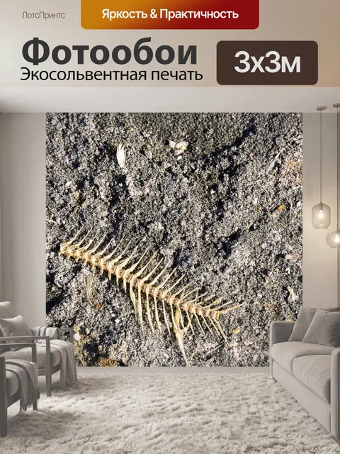 Фотообои Кости
